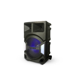 Speaker-DWQ-2138-12-1 (1)