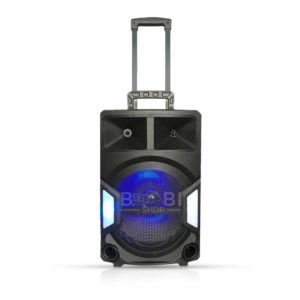Speaker DWQ-2138-12