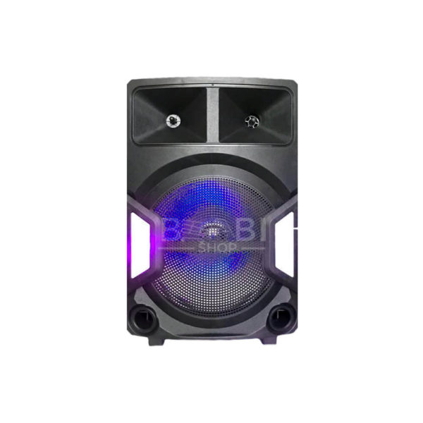 Speaker-DWQ-2138-12-2 (1)