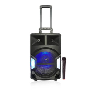 Speaker-DWQ-2138-12-mic (1)